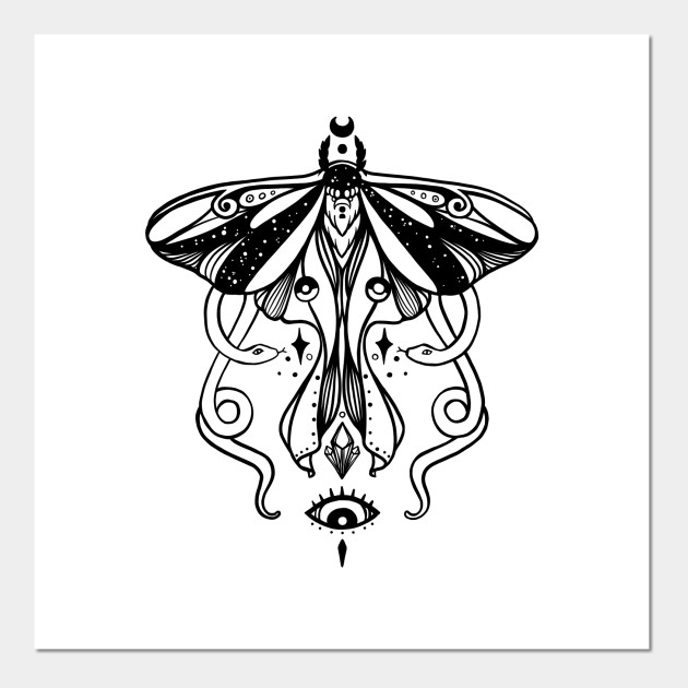 Luna Moth Drawing - Fine art illustration of a luna moth. - bmp-ify